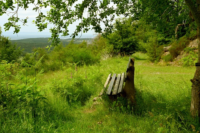 潜移默化中 潜移默化中