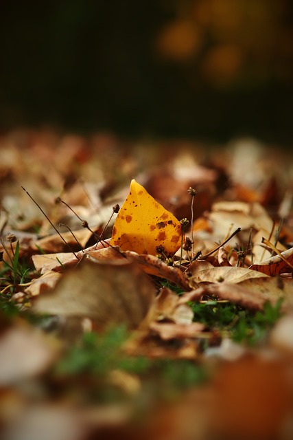 这种面对面 这种面对面