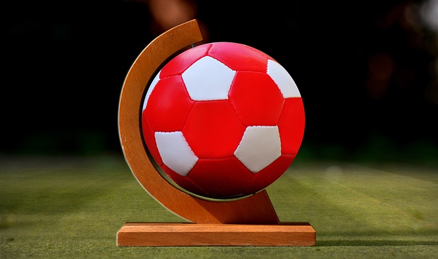 他们的经历 他们的经历