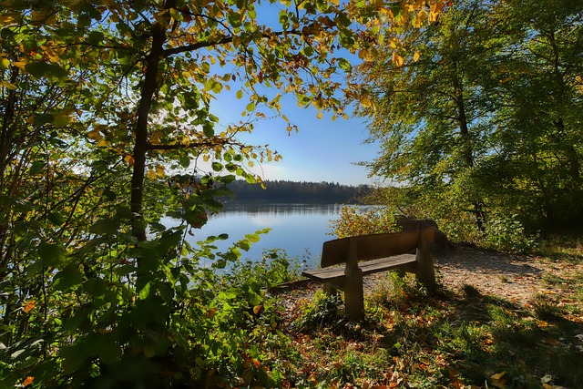 心理健康问 心理健康问