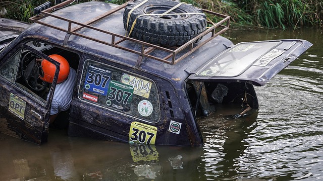 在多数对决 在多数对决