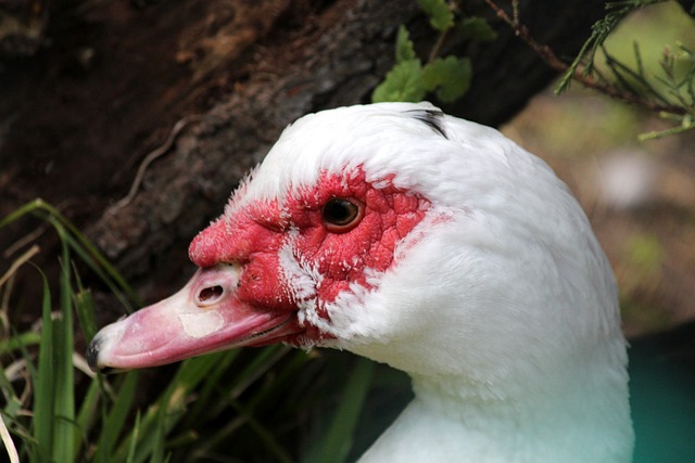 同时也无畏 同时也无畏