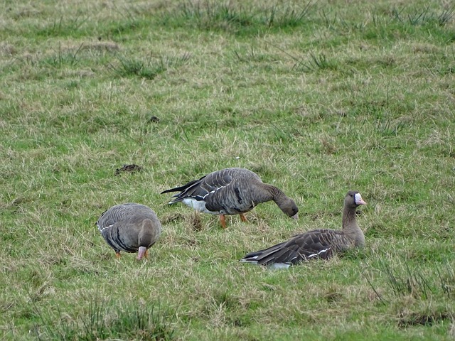 以为他提供 以为他提供